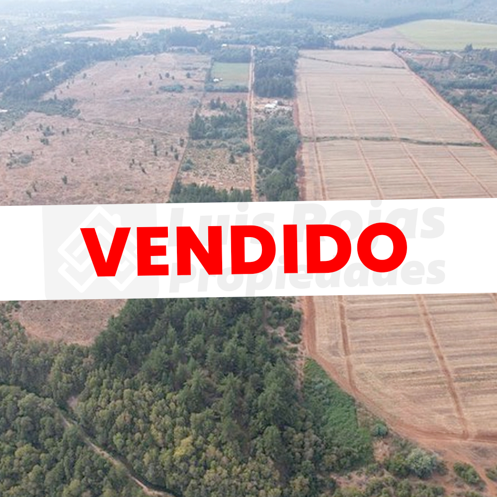 Parcelas en sector Rabones – Vendida