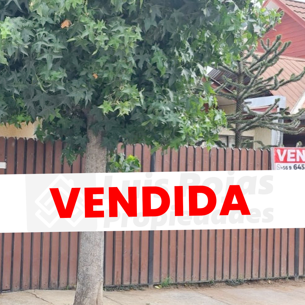 VENDIDA