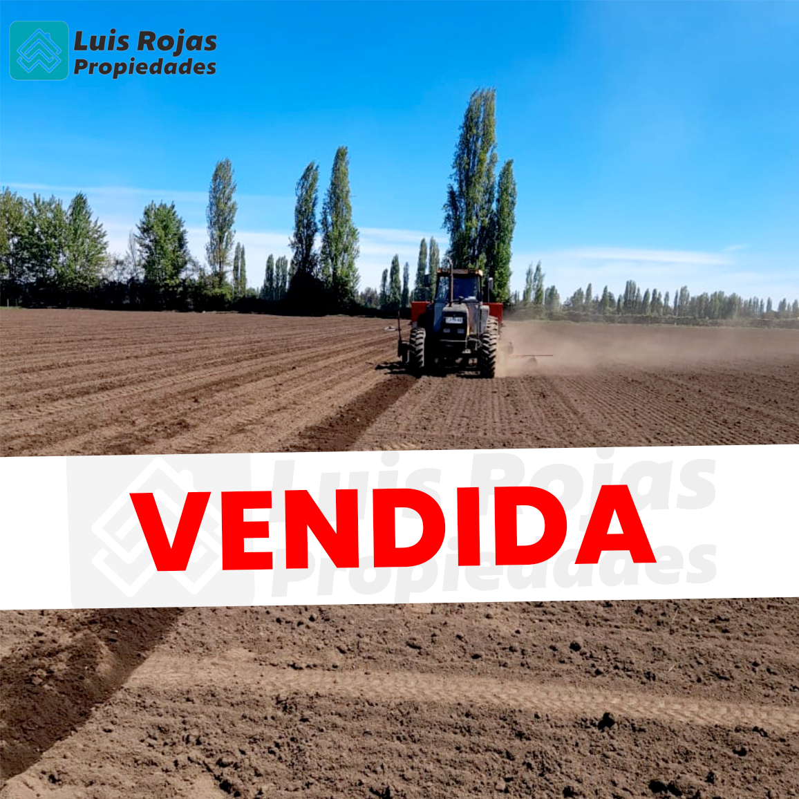 Terreno Agrícola 1 ha, Longaví.