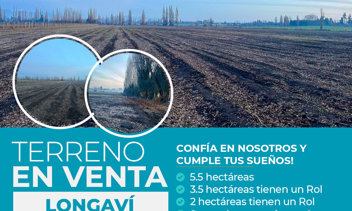 5.5 HECTAREAS LONGAVI copia