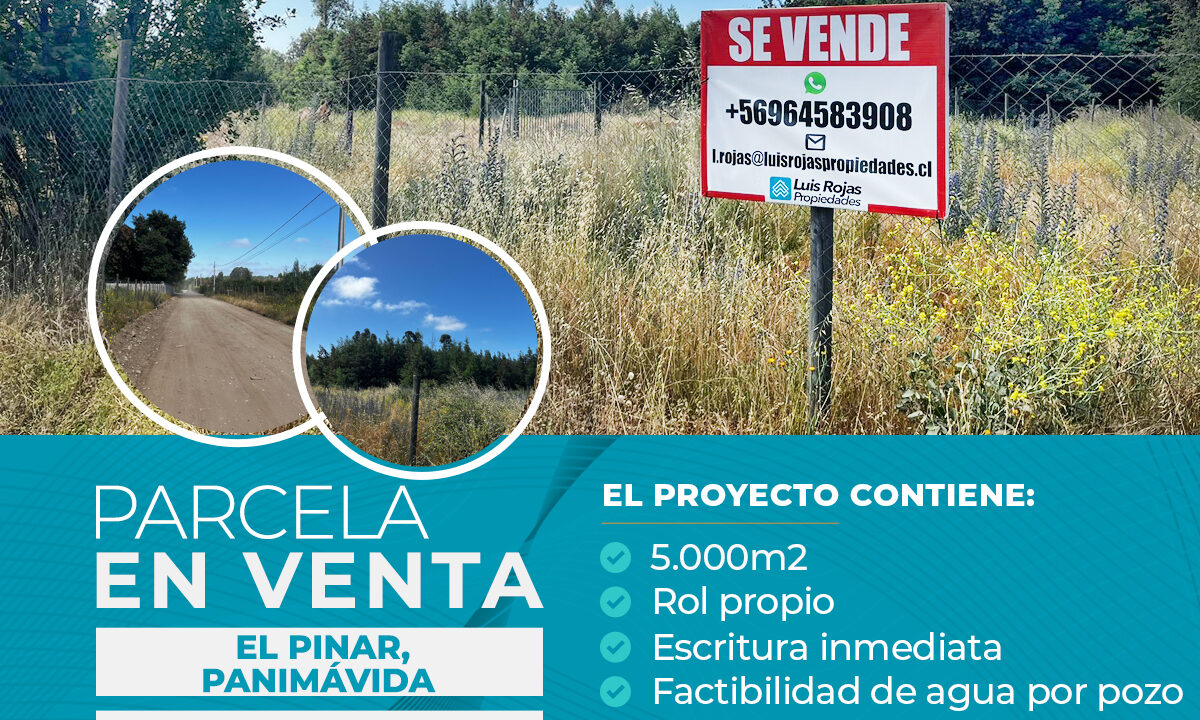 PARCELA EN VENTA EL PINAR, CAMINO A PANIMAVIDA copia