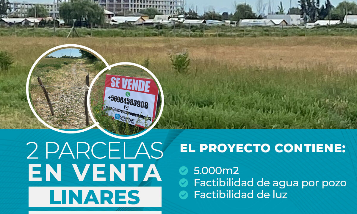 PARCELA DE 5.000M2 LINARES copia