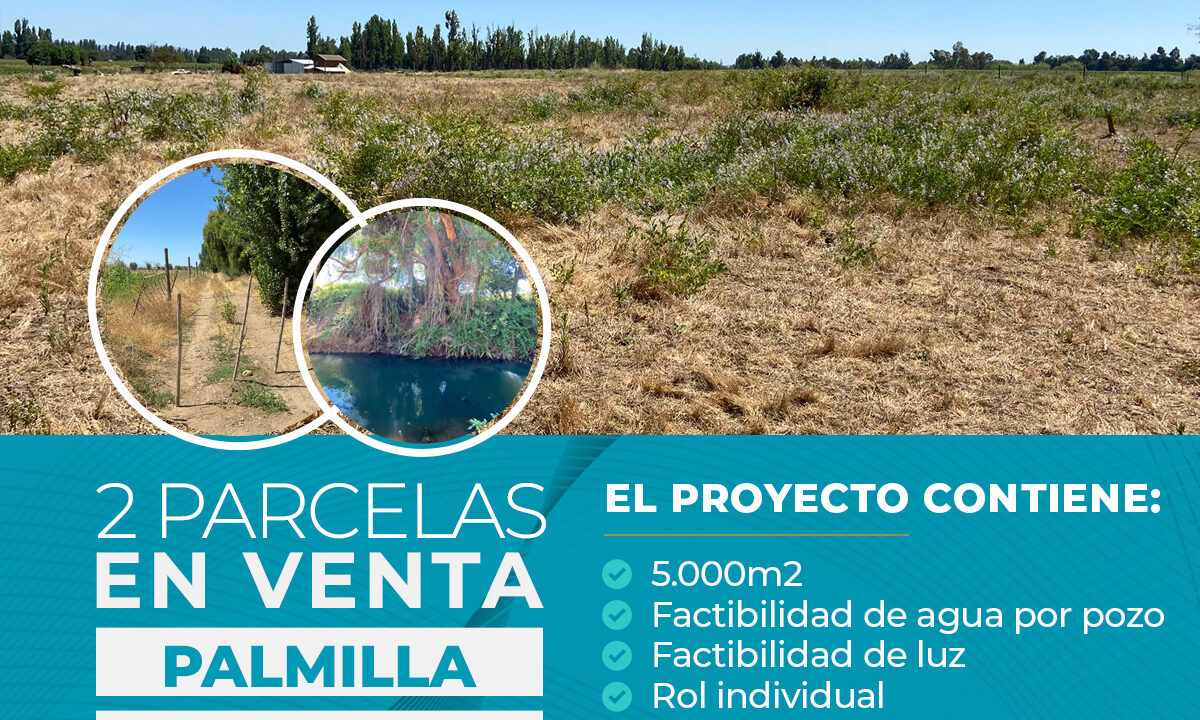 PARCELAS EN VENTA PALMILLA 5.000M2 DOS PARCELAS DISPONIBES copia