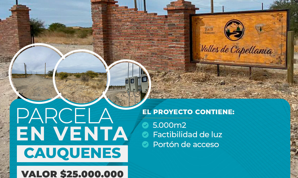 PARCELA EN VENTA CAUQUENES, LOTEO CAPELLANIA copia