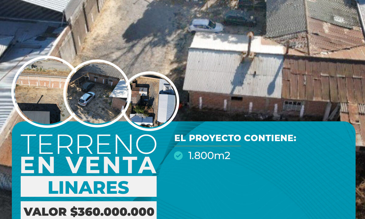 TERRENO CALLE BRASIL, LINARES $360.000 copia