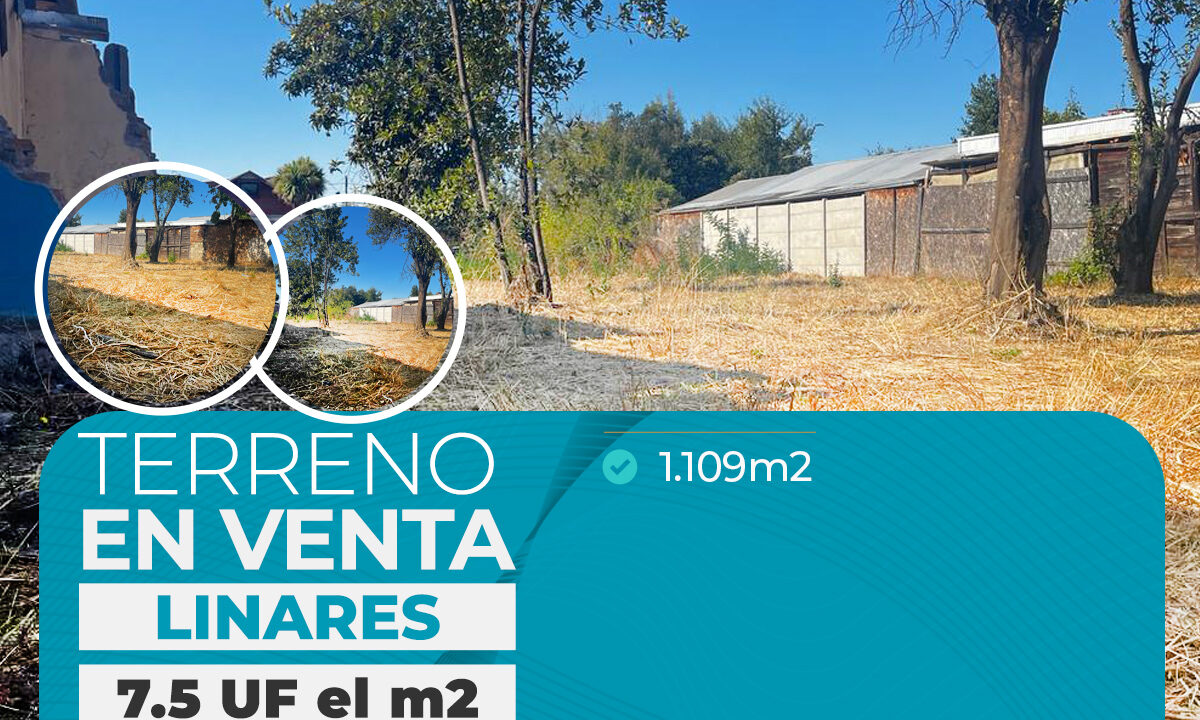 TERRENO EN VENTA AVENIDA PRESIDENTE IBAÑEZ, LINARES copia